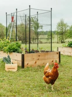 Tall Chicken Wire Critter Fence With Gate 19 Tall Chicken Wire Critter Fence With Gate -garden Sales Store 8611020 316 tif