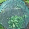 GardenSkill Pop N Crop Plant Umbrella 2 GardenSkill Pop N Crop Plant Umbrella -garden Sales Store 8611105 01V tif