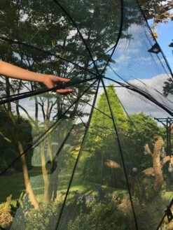 GardenSkill Pop N Crop Plant Umbrella -garden Sales Store 8611105 09V tif