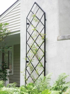 Lattice Gable Wall Trellis