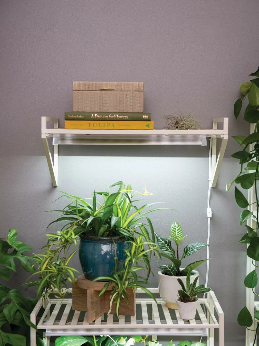 Oslo LED Grow Light Wall Shelf 4 Oslo LED Grow Light Wall Shelf - Image 2