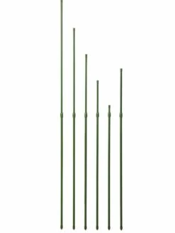 Titan Extendable Stakes, Set Of 6