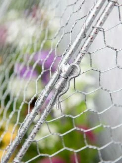 Chicken Wire Flat Back Crop Coop -garden Sales Store 8611701 167 tif