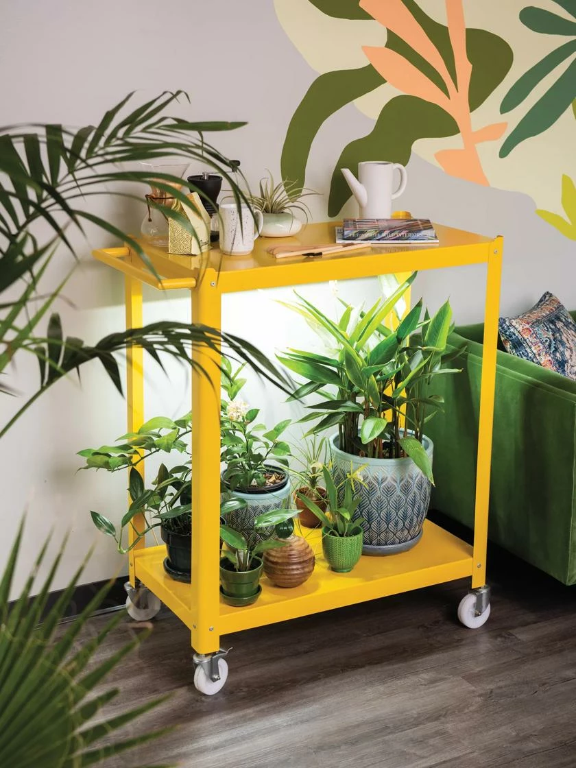 Mobile LED Grow Light Cart 3 Mobile LED Grow Light Cart