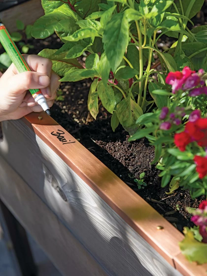 Re-Markable Raised Bed Trim 3 Re-Markable Raised Bed Trim