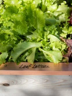 Re-Markable Raised Bed Trim 12 Re-Markable Raised Bed Trim -garden Sales Store 8611757 326 tif