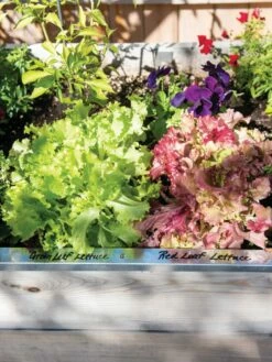 Re-Markable Raised Bed Trim 13 Re-Markable Raised Bed Trim -garden Sales Store 8611758 306 tif