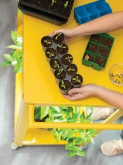 Sili-Seedlings® Seedling Tray, 10-Cell -garden Sales Store 8611886 374 tif