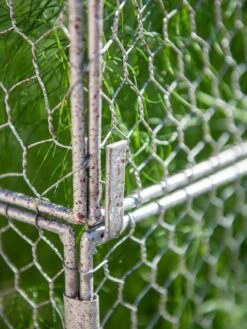 Chicken Wire Crop Coop Extension 12 Chicken Wire Crop Coop Extension -garden Sales Store 8611940 232 tif