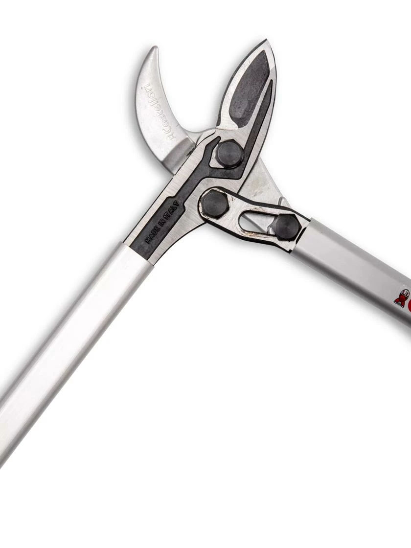 Castellari Long-Handled Anvil Lopper 7 Castellari Long-Handled Anvil Lopper - Image 5