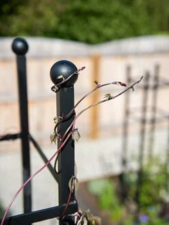 Essex Square Obelisk 12 Essex Square Obelisk -garden Sales Store 8611984 278 tif