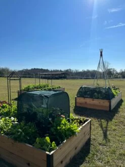 Pest Control Pop-Ups -garden Sales Store 8611989 05 tif