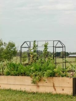 Zenith Trellis -garden Sales Store 8612035 549 tif