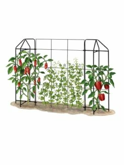 Zenith Trellis -garden Sales Store 8612035 art tif