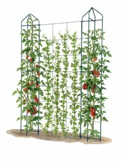 Zenith Trellis -garden Sales Store 8612036 art tif