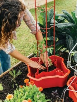 Deluxe Tomato Halos, Set Of 2 -garden Sales Store 8612045 135 tif