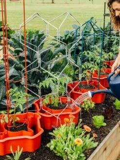 Deluxe Tomato Halos, Set Of 2 -garden Sales Store 8612045 161 tif