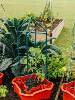 Deluxe Tomato Halos, Set Of 2 -garden Sales Store 8612045 221 tif