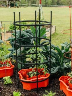 Deluxe Tomato Halos, Set Of 2 -garden Sales Store 8612045 228 tif