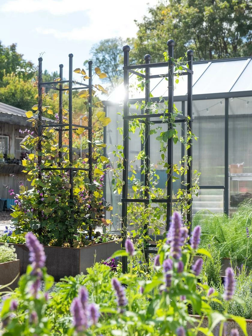 Essex Square Obelisk 4 Essex Square Obelisk - Image 2