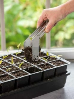 Seedling Transplant Tongs