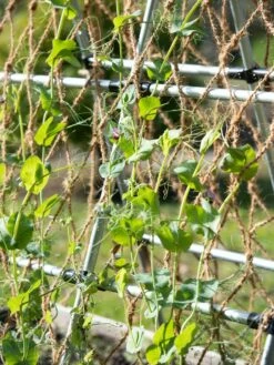 Coco Trellis Netting, 4' X 15' -garden Sales Store 8612050 005 tif
