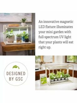 Tabletop Grow Kit -garden Sales Store 8612507 4