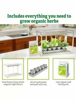 Tabletop Grow Kit -garden Sales Store 8612507 6