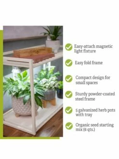 Tabletop Grow Kit -garden Sales Store 8612507 7