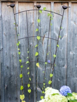 Flock Of Friends Wall Trellis 9 Flock Of Friends Wall Trellis -garden Sales Store 8612636 0023