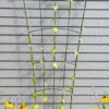 Flock Of Friends Wall Trellis -garden Sales Store 8612636 0029 flock of friends wall trellis