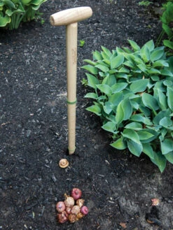 Wicked Big Dibber -garden Sales Store 8612667 0028