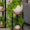 Double Tower Plant Stand -garden Sales Store 8612683 2228 double tower plant stand