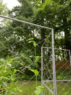 Chicken Wire Pea Trellis -garden Sales Store 8612718 7302