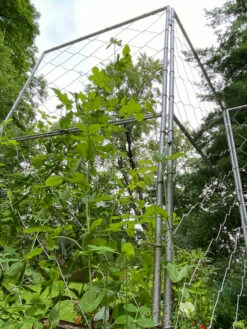 Chicken Wire Pea Trellis -garden Sales Store 8612718 7308