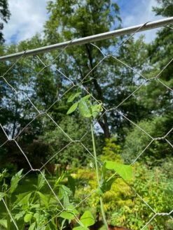 Chicken Wire Pea Trellis -garden Sales Store 8612718 7311