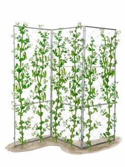 Chicken Wire Pea Trellis -garden Sales Store 8612718 peatrellis art chicken wire pea trellis