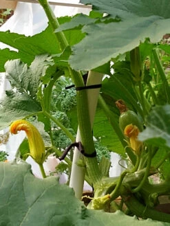 Farmyarn® Multipurpose Garden Tie, 2 Pack -garden Sales Store 8612948 01v