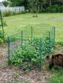 6 Panel Critter Fence With Gate -garden Sales Store 8612967 2570 tif