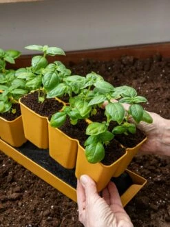 Gardener's Best® XL 6-Cell Planting Tray, Set Of 4 -garden Sales Store 8613031 6300