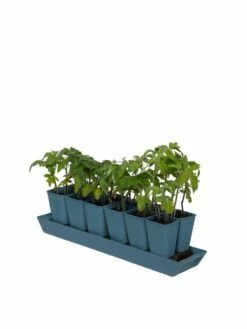 Gardener's Best® XL Seed Starting Kit 18 Gardener's Best® XL Seed Starting Kit -garden Sales Store 8613066 0029