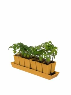 Gardener's Best® XL Seed Starting Kit 16 Gardener's Best® XL Seed Starting Kit -garden Sales Store 8613066 1029