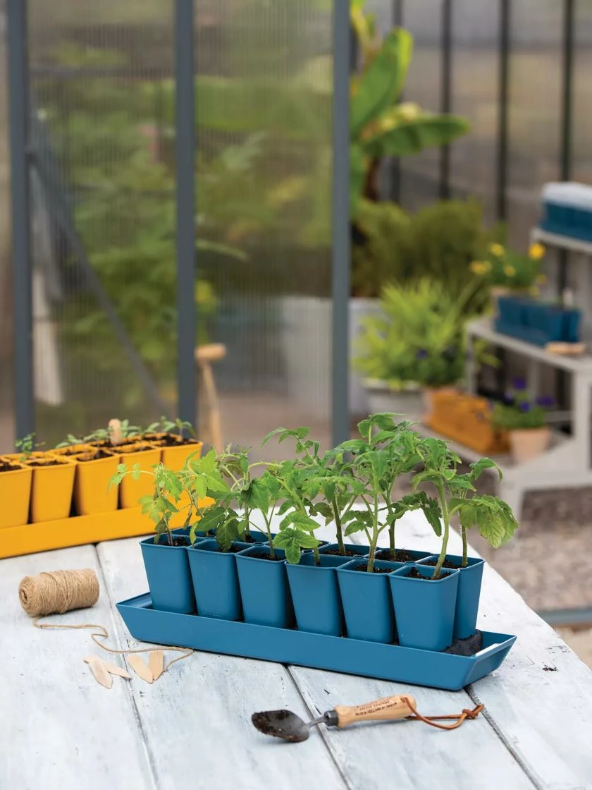 Gardener's Best® XL Seed Starting Kit 4 Gardener's Best® XL Seed Starting Kit - Image 2