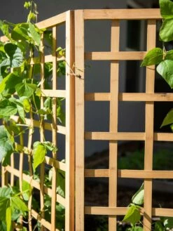 Bamboo Zig-Zag Trellis 24" X 36" 18 Bamboo Zig-Zag Trellis 24" X 36" -garden Sales Store 8613151 6491