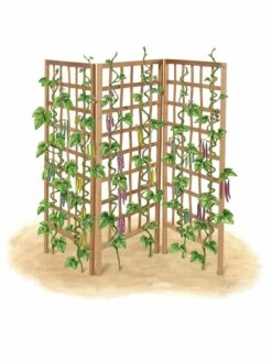 Bamboo Zig-Zag Trellis 24" X 36" 20 Bamboo Zig-Zag Trellis 24" X 36" -garden Sales Store 8613151 art flat