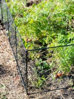 Chicken Wire Critter Fence, 16" High -garden Sales Store 8613249 0309