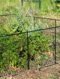 Chicken Wire Critter Fence, 16" High -garden Sales Store 8613249 0352