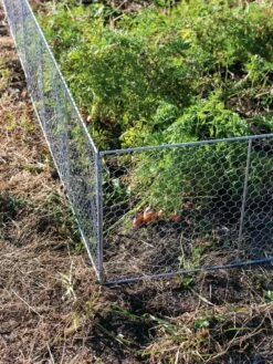 Chicken Wire Critter Fence, 16" High -garden Sales Store 8613249 0358
