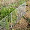 Chicken Wire Critter Fence, 16" High