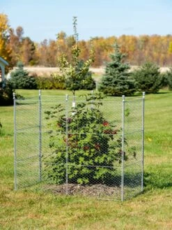 Tall Chicken Wire Critter Fence Extension Panel, Set Of 2 19 Tall Chicken Wire Critter Fence Extension Panel, Set Of 2 -garden Sales Store 8613260 0030 1
